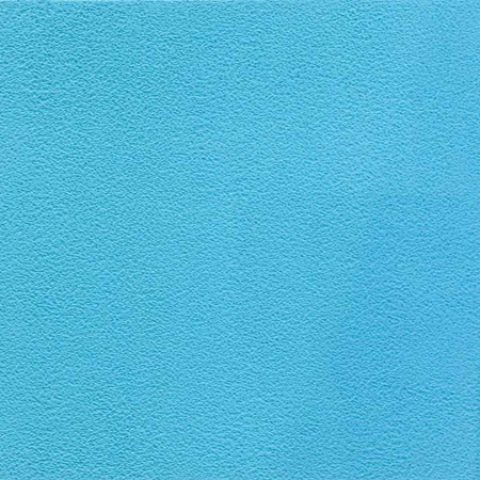 rich waves broucher 5