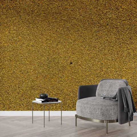 rich waves broucher 5